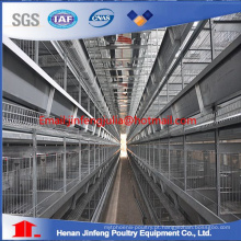 H-Type Chicken Cage Poultry Farm Equipment for Layer Chicken